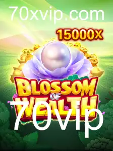 BlossomofWealth: Um Guiado Completo ao Mundo Competitivo de 70vip
